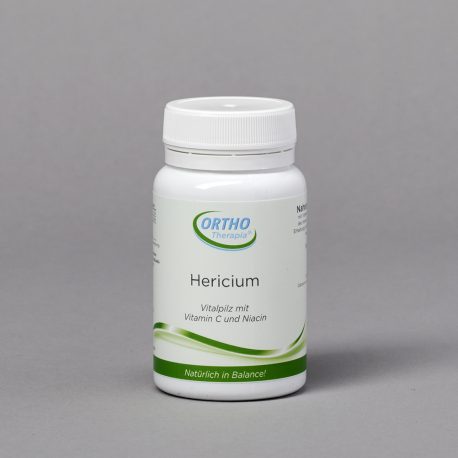hericium-igelstachelpilz-vitalpilz